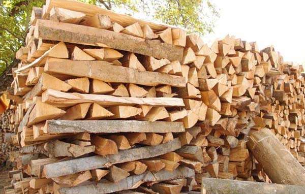 Grad Samobor podupire kupnju drva za ogrjev i angairanje pomonika u nastavi