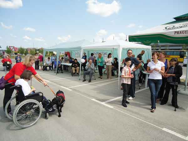 Otvorene nove prostorije Udruge osoba s invaliditetom Samobora i Svete Nedelje