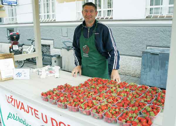 Krenula tradicionalna prodaja jagoda na Trgu kralja Tomislava