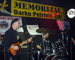 Memorijalna svirka za Darka Petrinia