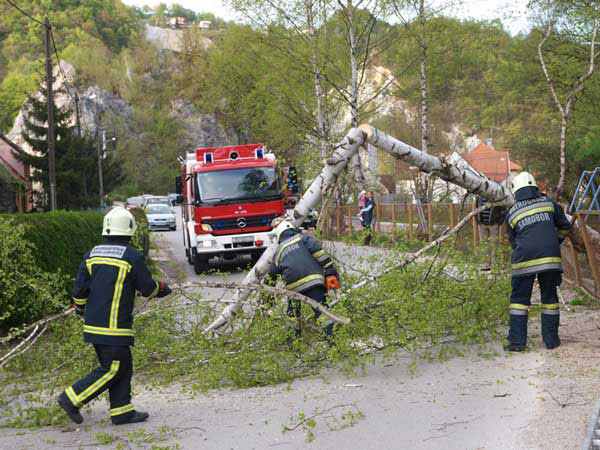 Palo drvo u Rudarskoj dragi zaustavilo promet na cesti Samobor - Rude
