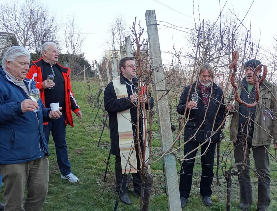 Samoborska vinogradarsko vinarska udruga nastavlja tradiciju