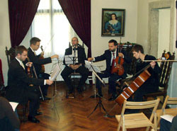 Samorske glazbene matineje u Samoborskom muzeju