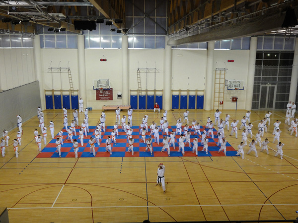 KARATE - KK Samobor obiljeio zavretak vrlo uspjene karate godine