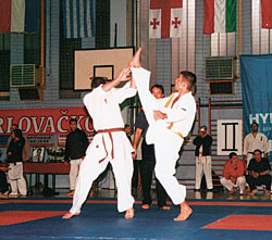 Meunarodni turnir u kyokushin karateu
