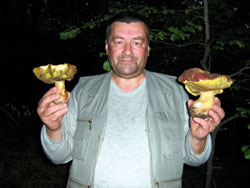 Ljeto jo nije dolo, a nai su gljivari ubrali prve primjerke najpoznatijih jestivih gljiva